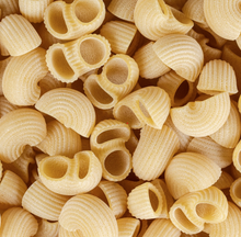 Load image into Gallery viewer, Mancini Pasta estate grown semolina pasta, Lumache Rigate
