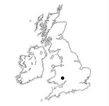 Load image into Gallery viewer, Neal's Yard Dorstone, Ash Covered Goat Cheese, England
