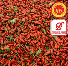 Load image into Gallery viewer, Piquillo Peppers de Lodosa PDO (Spain) - Can
