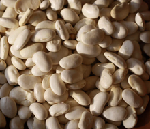Load image into Gallery viewer, Rancho Gordo Tarbais Dried Cassoulet Beans

