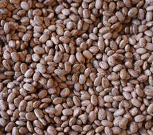 Load image into Gallery viewer, Rancho Gordo Heirloom Pinto Beans
