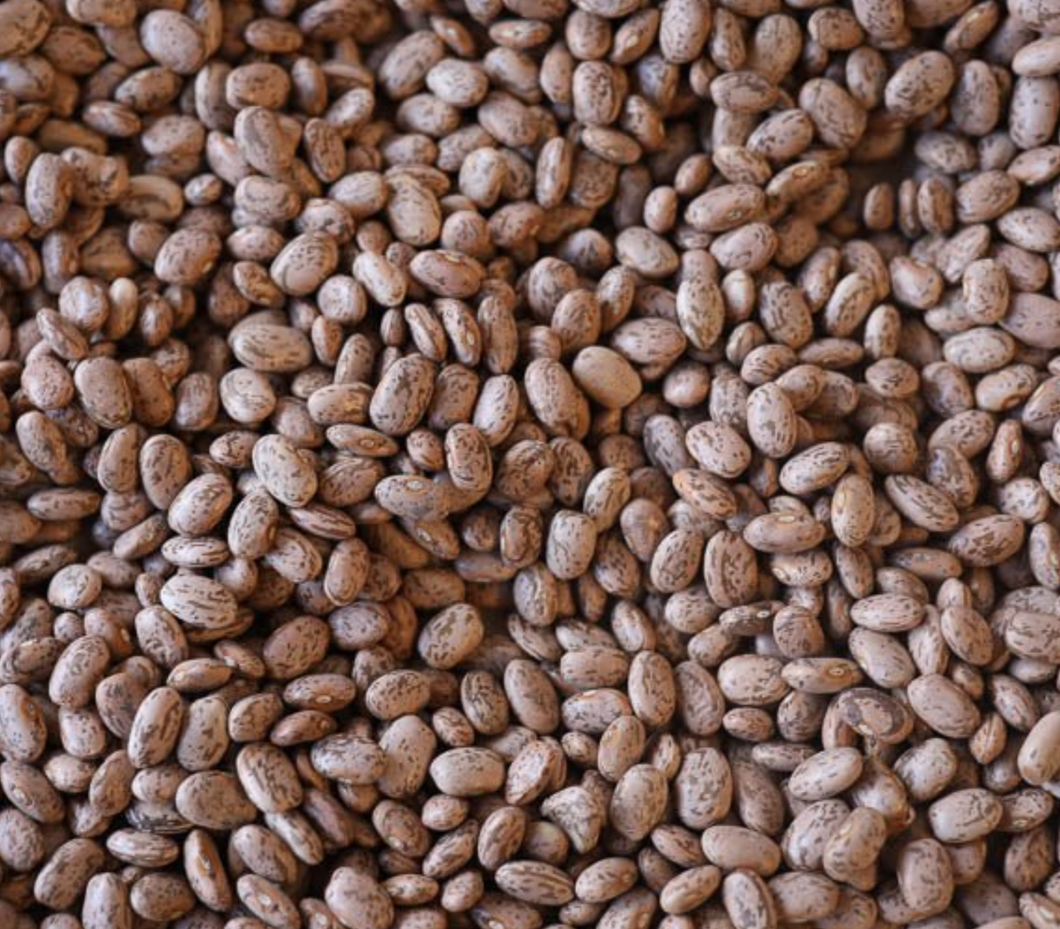 Rancho Gordo Heirloom Pinto Beans