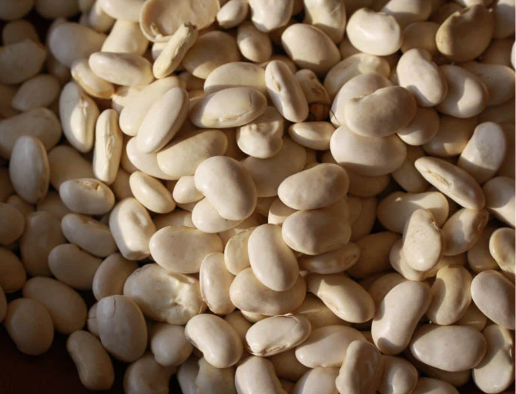 Heirloom Tarbais White Cassoulet Beans (California) Dried