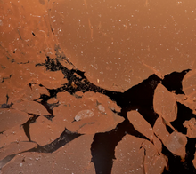 Load image into Gallery viewer, Dark Rice Vinegar Kuriso from Acetaia San Giacomo, Italy, fermentation.
