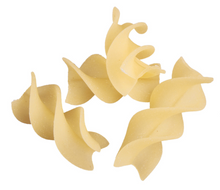 Load image into Gallery viewer, La Fabbrica Della Gluten Free Fusillone Pasta
