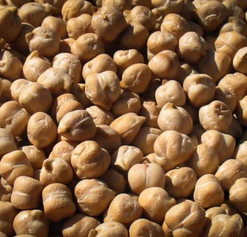 Rancho Gordo Dried Garbanzo Beans