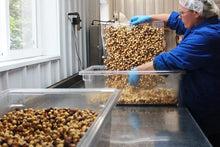 Load image into Gallery viewer, woman sorting Freddy Guys roasted hazelnuts at Oregon Factory
