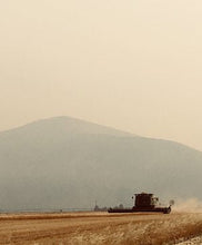 Load image into Gallery viewer, Hillside Grain harvest on a hazy day, with mountain in the background.
