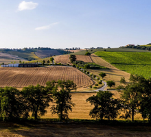 Load image into Gallery viewer, Pasta Mancini farm and factory in Marche, Italy
