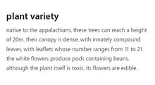 Load image into Gallery viewer, Description of Plant Variety, Acacia - Mieli Thun honey.
