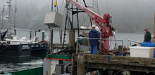 Load image into Gallery viewer, Tuna Boat Unloading in Oregon, Sea Fare Pacific
