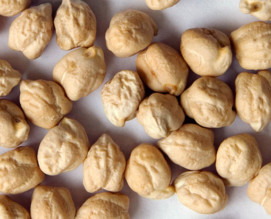 Heirloom Garbanzo Beans 