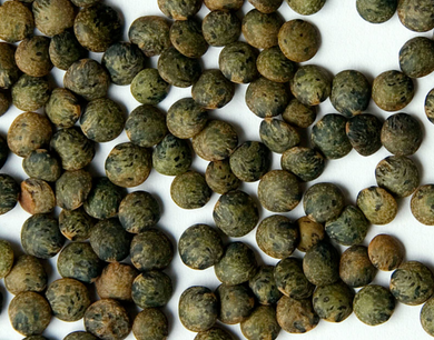 Dried French Green Lentils 